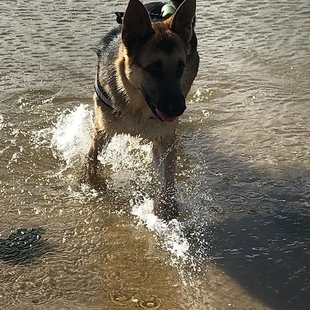 Casa Lagoa Affittacamere