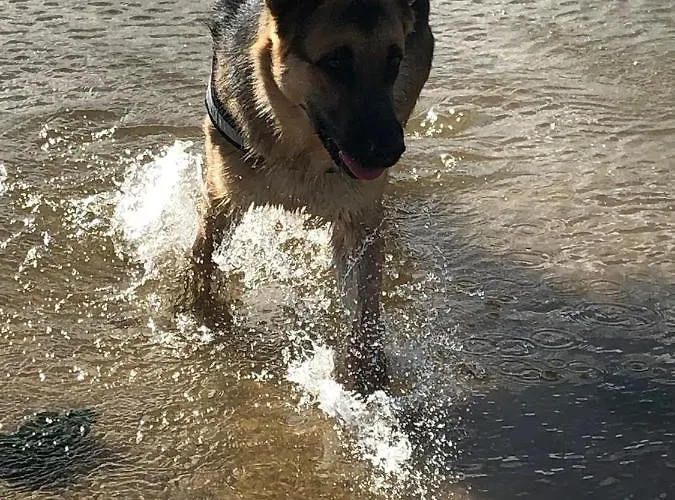 Casa Lagoa Гостевой дом