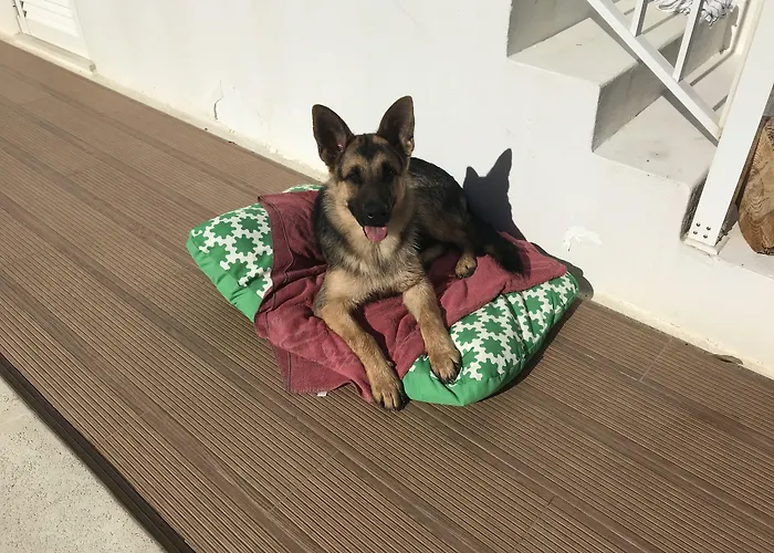 Гостевой дом Casa Lagoa 4*